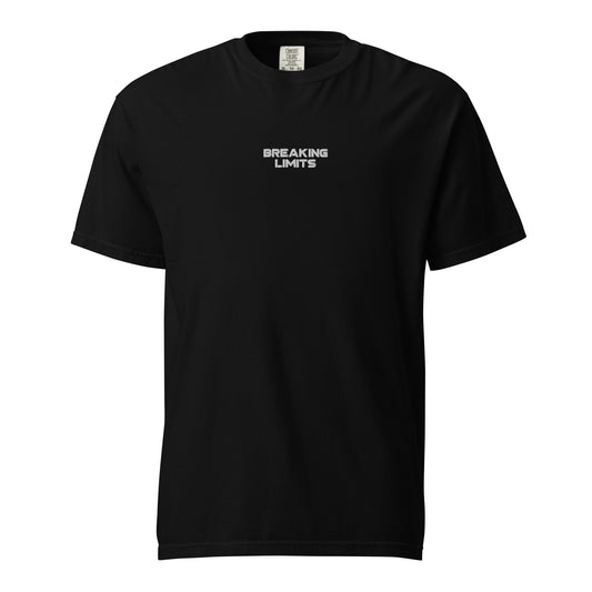 Heavyweight Unisex Center Classic Logo Embroidered Shirt (Color Black)